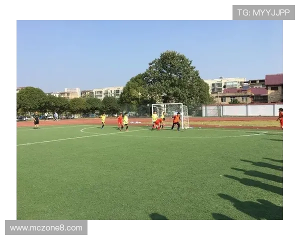 围绕双林足球杯比赛规则制定公平竞技准则全面解读亮点细节全方位