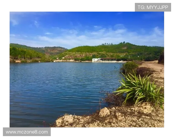 足球农庄推出超值假日优惠活动全家畅玩欢乐不断惊喜来袭精彩时光